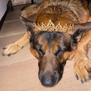 Meet your Posher, Adrianna